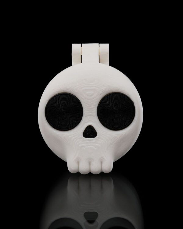 Deadly Dose Keychain Pill Holder | Healthcare | Chill & Thrill - Wellbeing Tools | Unique Gift | Portable Pill Case | Health Accessories