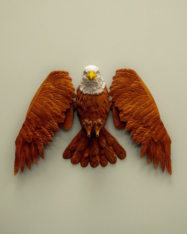 Eagle Coat Hanger | Unique Bird Decor | Home Organization | Birdwatching Gift | Wall Art | Functional Sculpture | Handmade