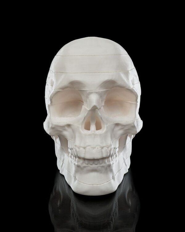 Rest In Pieces | Seasonal Skulls for Days, Unique Skull Art, Halloween Decor, Gothic Home Decor, Skull Collectible, Spooky Decoration