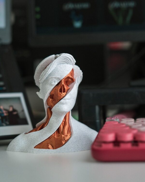 Whirls Anatomy | Unique 3D Printed Toy | Educational Gift | Tabletop Game Accessory | Medical Anatomy Model